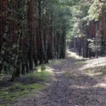 Adventure Journey In karnataka